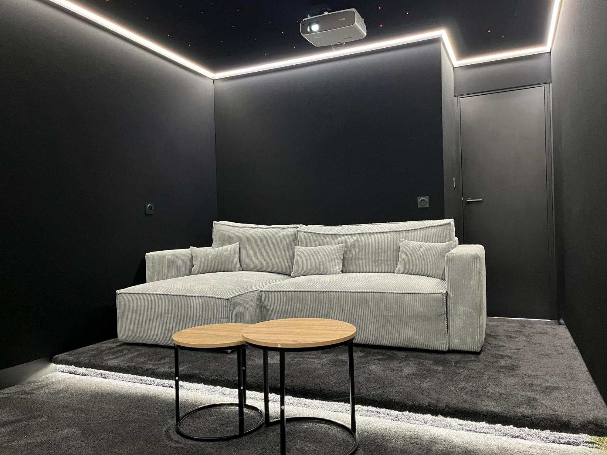Appartement Dns Cine - Le Cinema Dans Votre Salon - 4p Le Mans